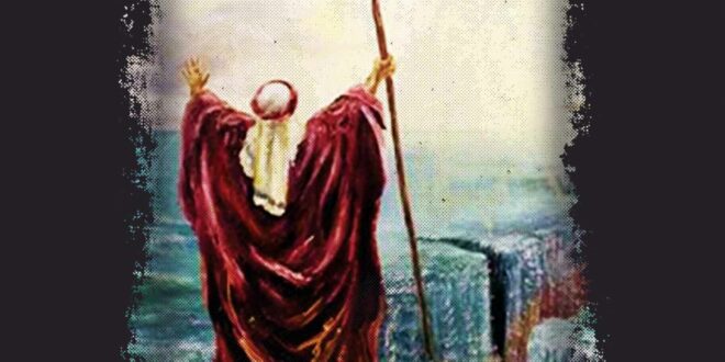 قبیلة اللعنة 3